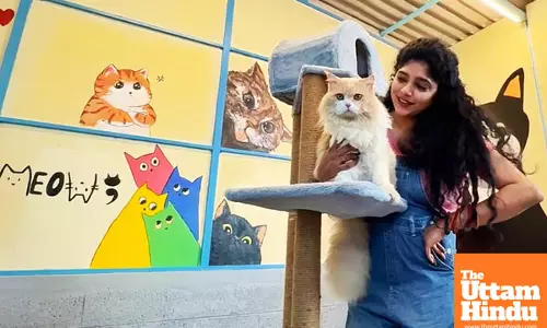 Actress Samyuktha Honrad launches adoption centre for cats