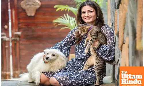 Raveena on dogs being chased away: Driving away those meant to protect us