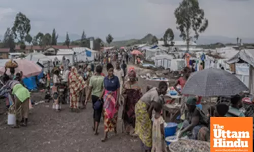 Over 67 million people food insecure in Horn of Africa as climate shocks, conflict rise: Report