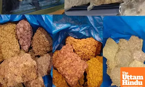 Mumbai airport: Over ₹50 crore worth of hydroponic weed seized along with gold and diamonds