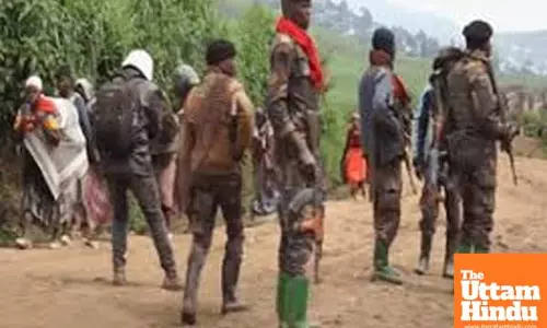 Two Tanzanian peacekeepers killed, four injured in DR Congo