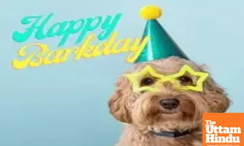 Boys celebrate dogs birthday in style, Viral video captures the fun celebration