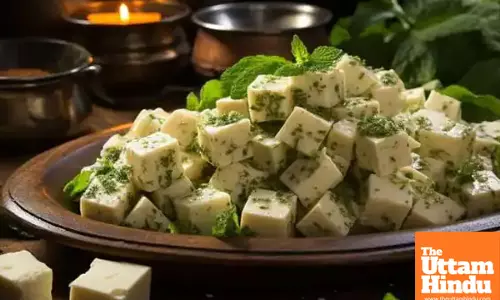 The Rise of Analogue Paneer: A Fake Version of Cottage Cheese