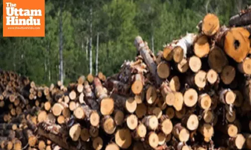 Myanmar seizes over 88 tonnes of illegal timbers, 200,000 stimulant tablets