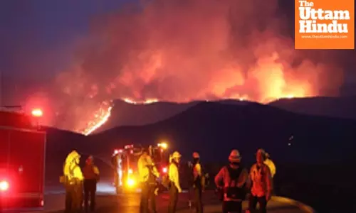 Los Angeles wildfires cost up to $164 billion in property and capital losses: Report