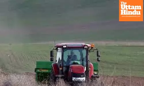 Turkish experts urge developing countries to prioritise agriculture for food security