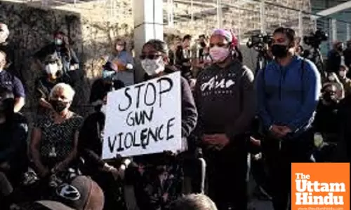 Study links assault weapons to higher death toll in US mass shootings