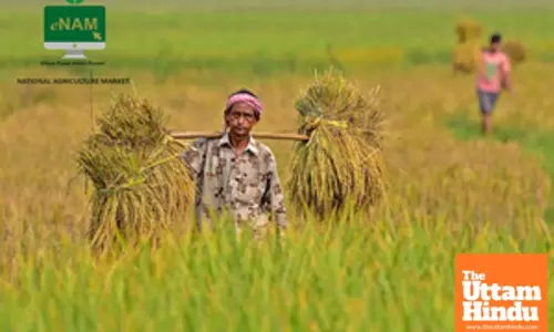 A Big Win for Farmers? The Centre Just Added 10 More Goods to e-NAM—Find Out How