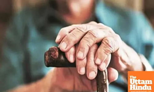 Study shows how PM2.5 raises health, economic costs for elderly