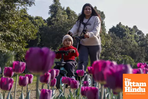 Flowers bloom at Shanti Path