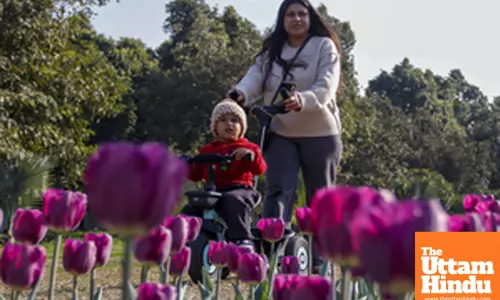 Flowers bloom at Shanti Path
