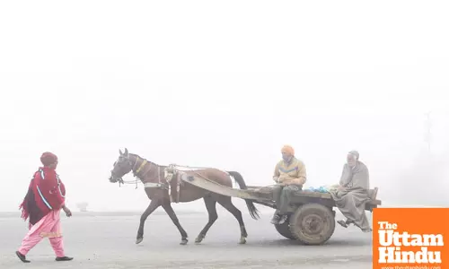 Weather unpredictability in February: Cold Spells, Rain and Snow Forecasted across India