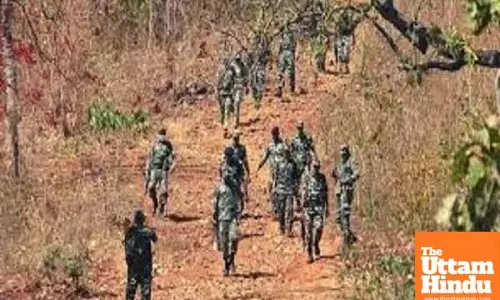 Major Victory for Security Forces: Over 12 Naxalites Killed in Maharashtra Border Encounter