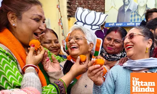 BJP workers celebrate the partys victory in the Delhi Assembly elections