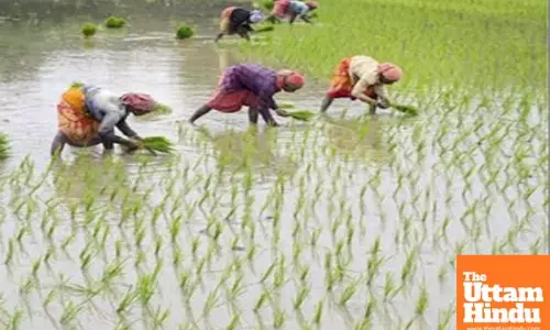 Agriculture sector growth stronger, steadier than UPAs volatile years: BJP factsheet