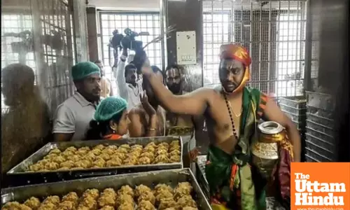 Tirupati Temple laddu scandal: SIT arrests 4, unearths tender irregularities