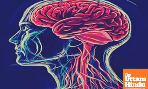 Clot-busting meds can boost stroke patients recovery by over 50 pc: Study