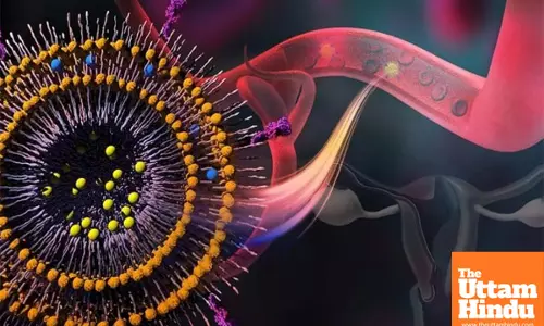 New Hope for Rare Pregnancy-Related Cancer with Nanomedicine Drug Delivery System