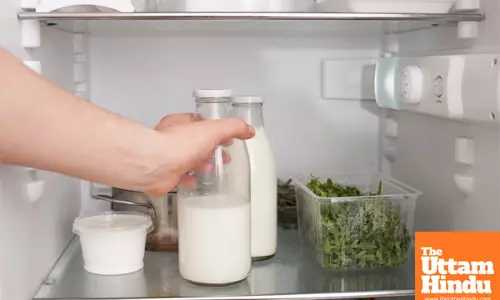 The right way to store milk: avoid this common mistake to protect your health