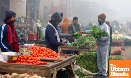 PMKSY cold chain scheme cuts wastages in vegetables, dairy, fisheries