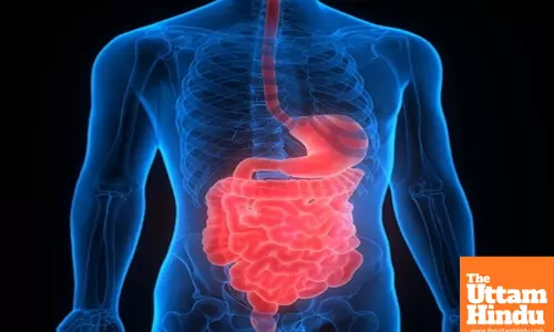 Common antibiotic shows hope for inflammatory bowel disease