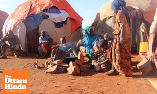 Somalia, UN launch 95 million USD project to tackle climate change challenges