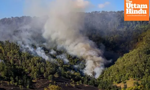 Australia: Bushfires in Tasmania pose threat to lives