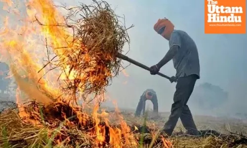 Tackling Pollution: Parliamentary Committee Proposes Bold Measures to Curb Stubble Burning