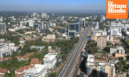 UN report urges bold reforms to boost Africas economic resilience