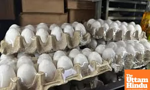 Egg prices scramble to new heights: record $4.95 amid supply chain woes
