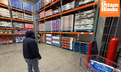 Widespread egg rationing sweeps US stores amid bird flu crisis