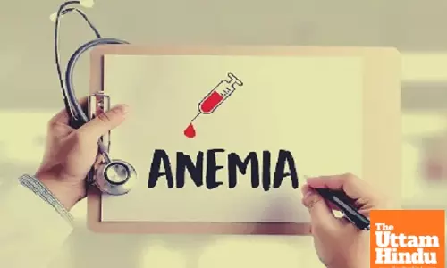 Air pollution, vitamin B12 deficiency major culprits behind rising anaemia in India: Experts