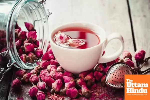 Stress relief to glowing skin: 5 incredible benefits of rose tea Stress relief to glowing skin: 5 incredible benefits of rose tea