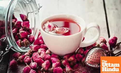 Stress relief to glowing skin: 5 incredible benefits of rose tea