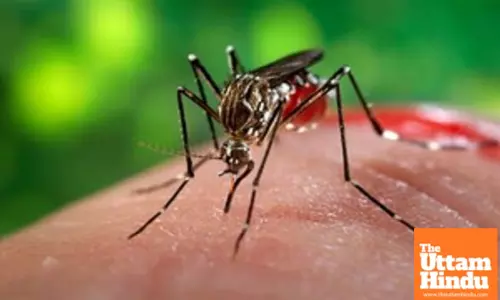 Malaria cases in Vietnam down 21 per cent in 2024