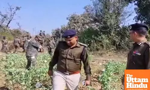 Massive Crackdown on Opium: Police Destroy Crops Worth ₹125 Crore, 86 Arrested