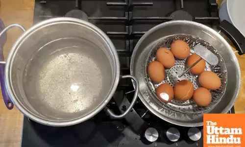 The science behind the perfect boiled egg: how to cook It just right