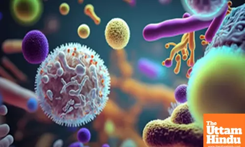 Study shows antidepressants can fight infections, sepsis