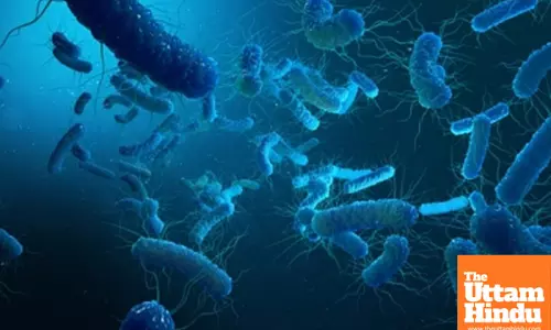 ICMR seeks private partners for joint development of typhoid, paratyphoid vaccine