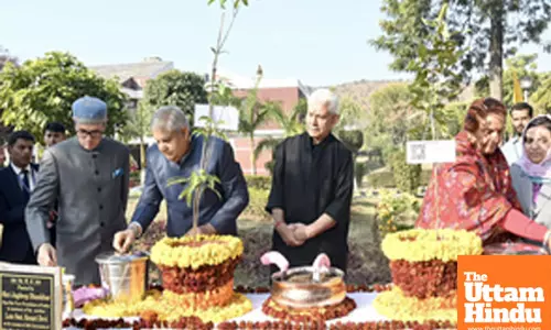 Tree Plantation at Vaishno Devi University
