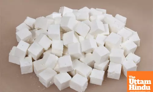 Keep Your Paneer Fresh and Aromatic for Weeks: Expert Tips on Storing It