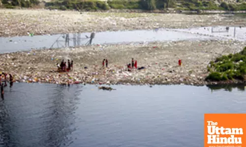 Waste pickers collect garbage along the banks of the Yamuna River