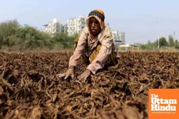 Ktaka JD(S) thanks PM Modi for helping tobacco farmers hit by excess rains Ktaka JD(S) thanks PM Modi for helping tobacco farmers hit by excess rains