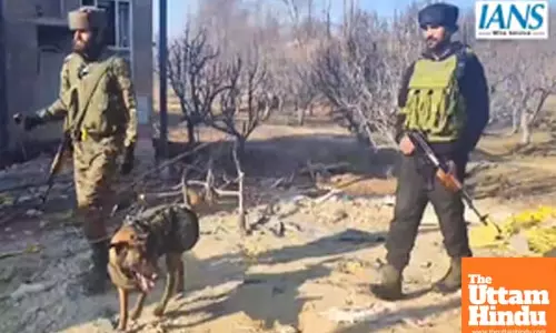 Two suspicious objects detected in J&K’s Shopian, Tral