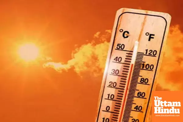Cities at highest risk as climate change increases heatwave mortality: Study