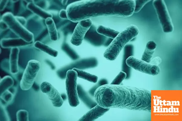 Swimming in lakes with still waters can cause bacterial pneumonia: Study