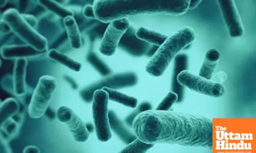 Swimming in lakes with still waters can cause bacterial pneumonia: Study