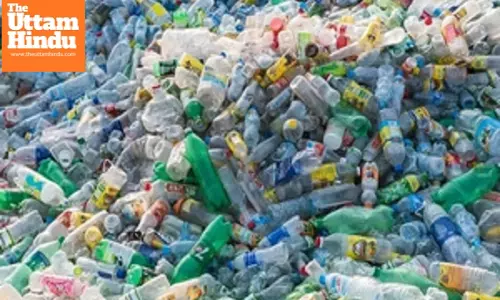 Australian researchers call for action to reduce burning of plastic in developing nations
