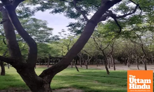 Young man found hanging from tree in Jharkhands Dumka, family alleges murder