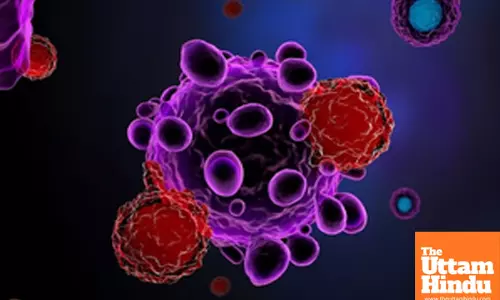 A Step Closer to Conquering Cancer? Indian Scientists Unveil Key to Early Pancreatic and Glioma Diagnosis!